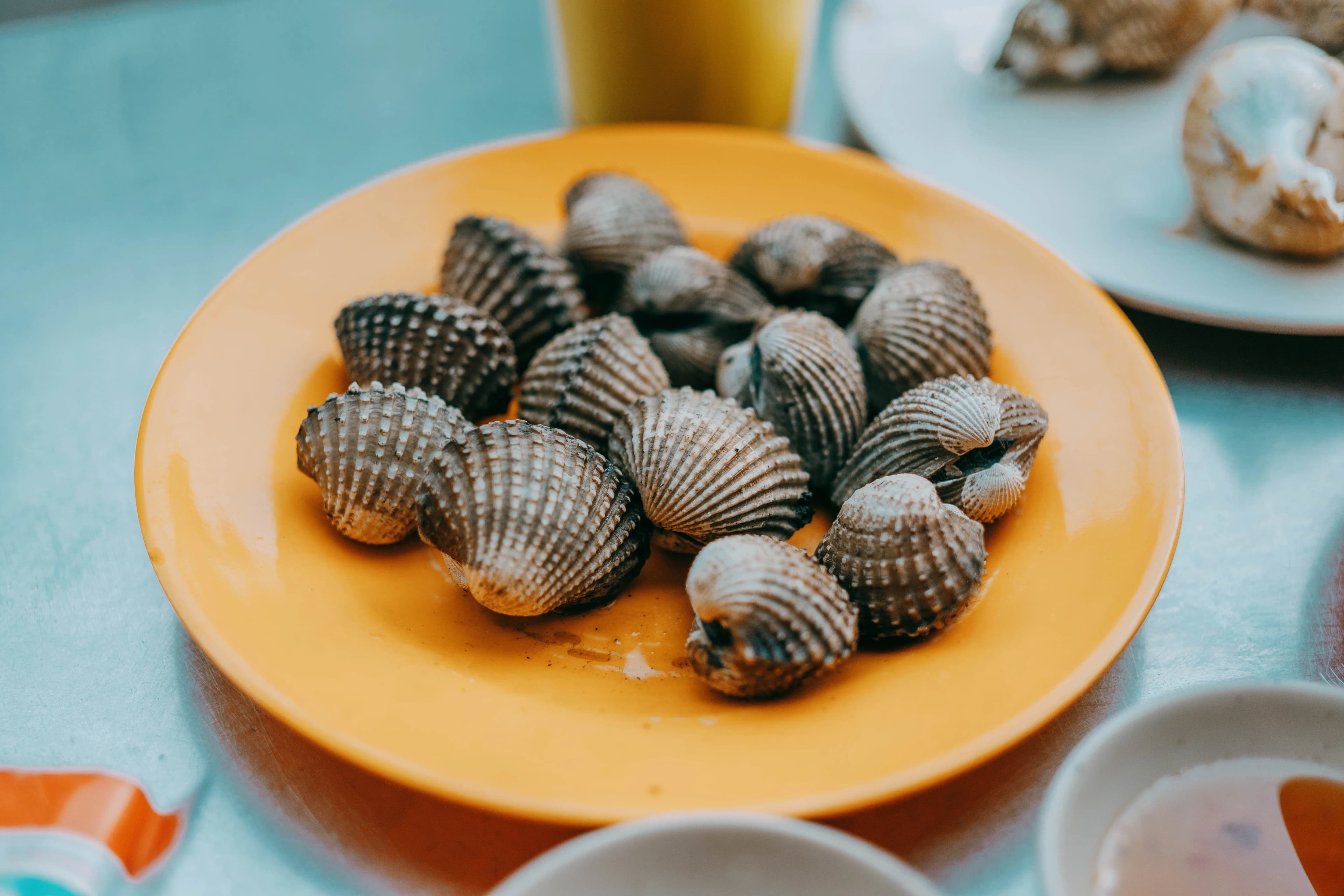 Cockles
