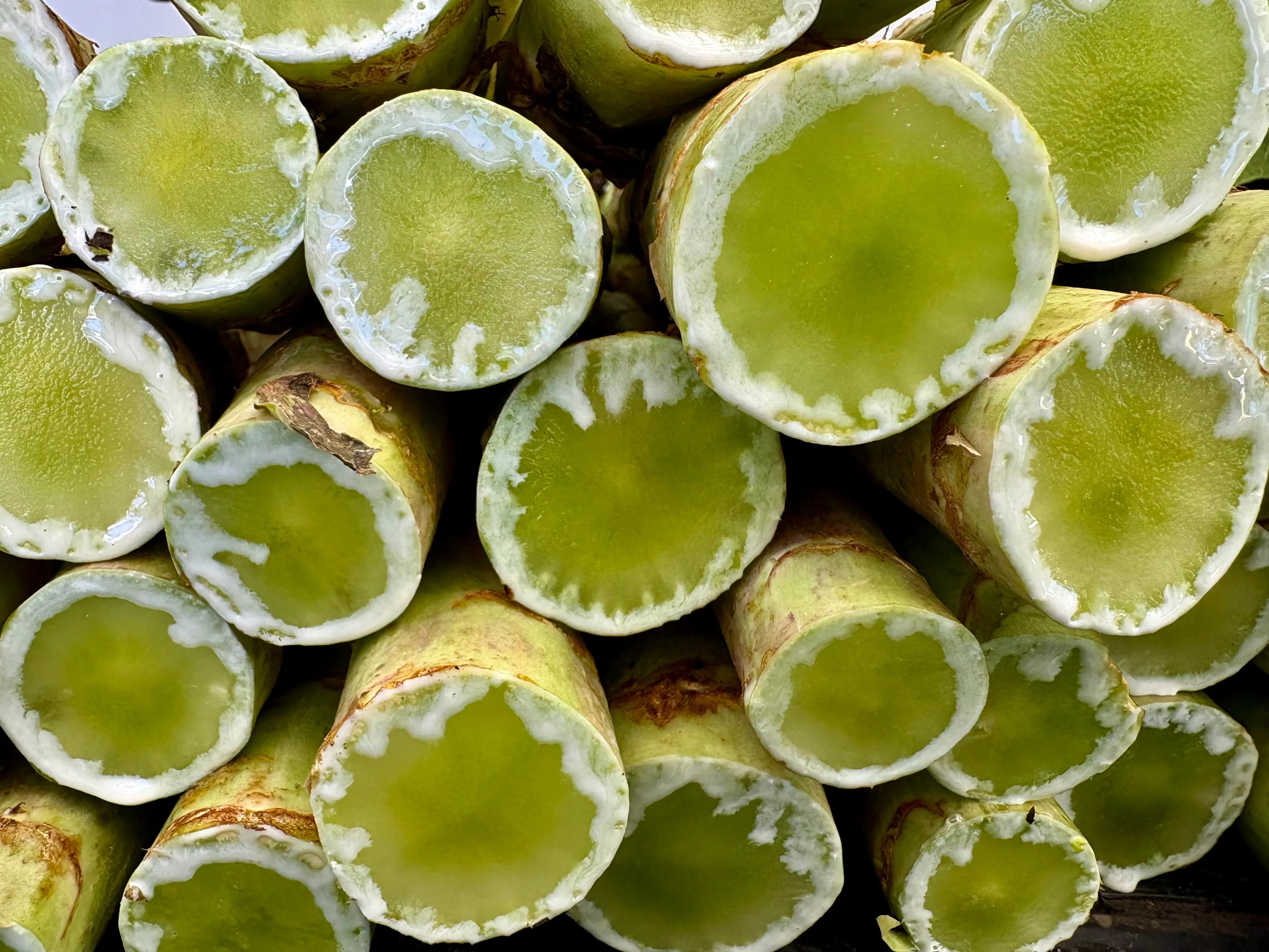 Banana stem