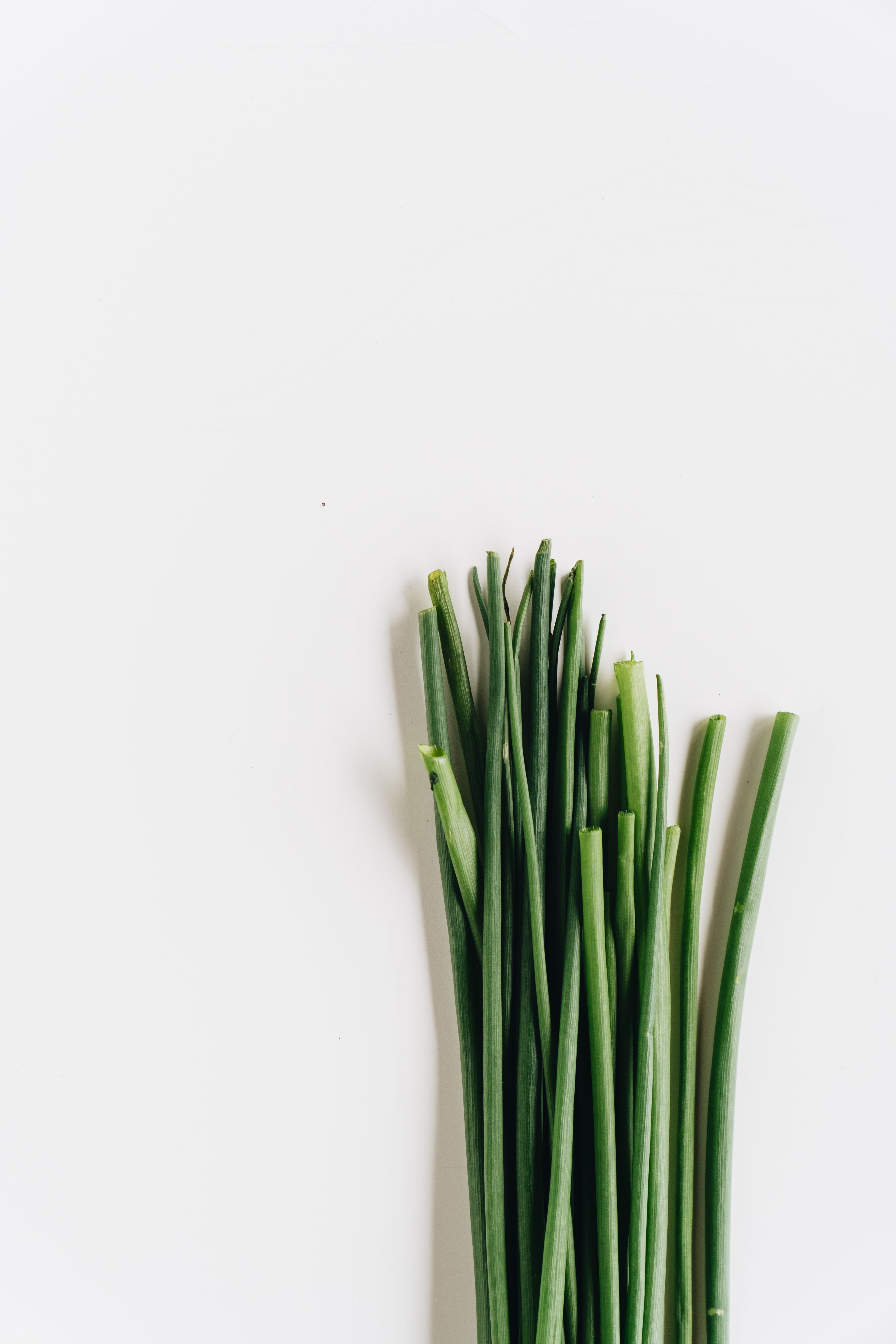 Chives