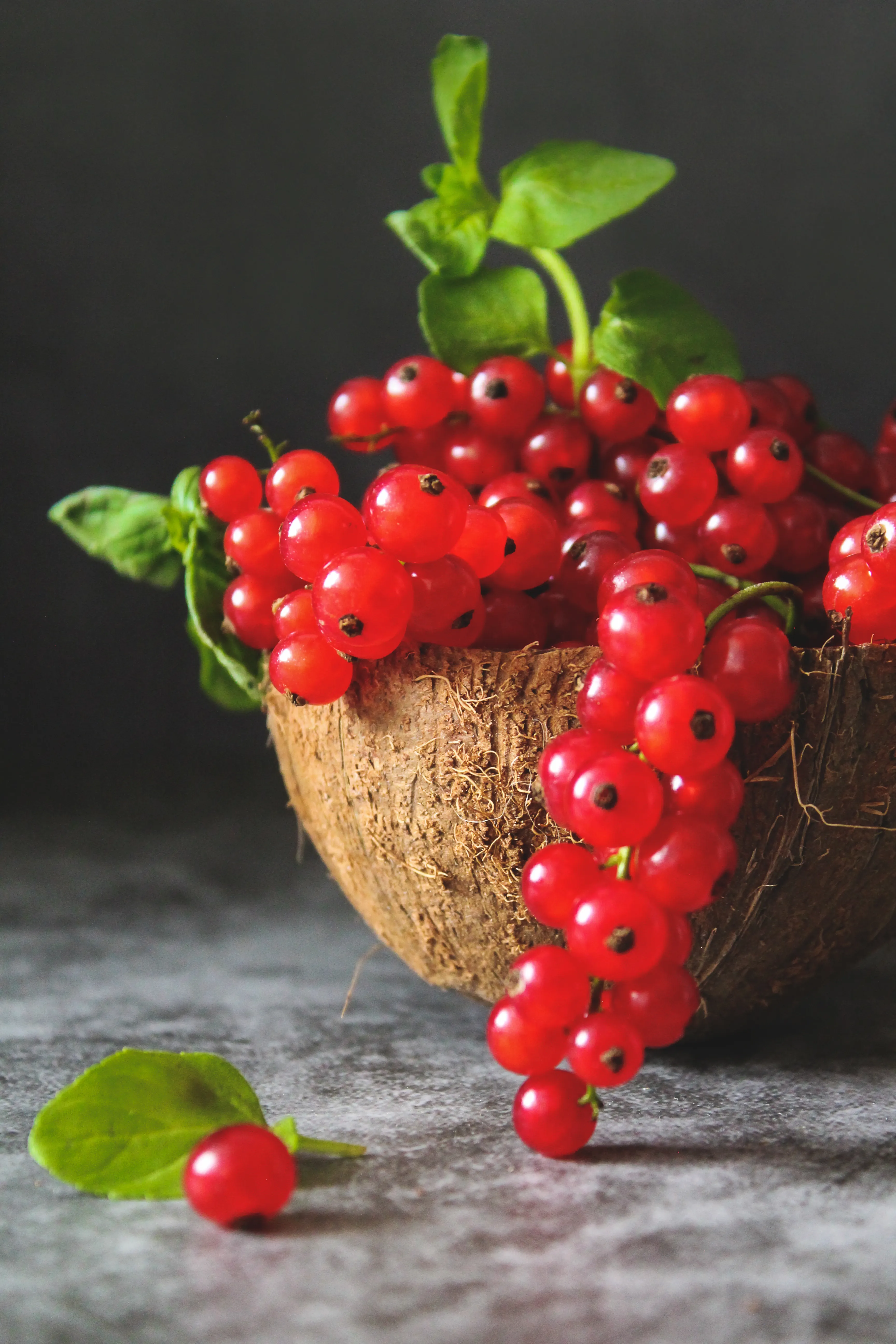 Red currants
