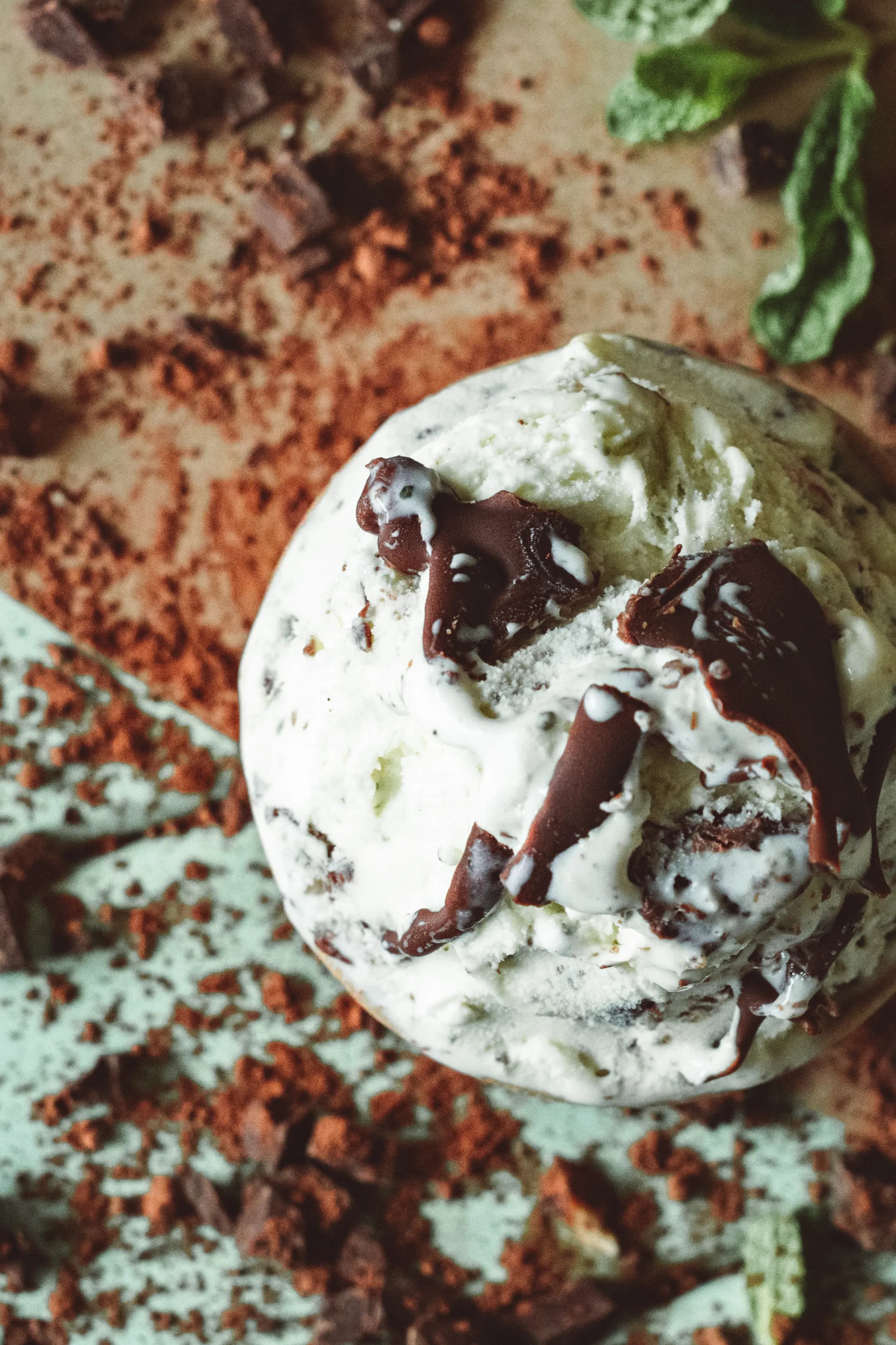Mint Chocolate Chip Ice Cream
