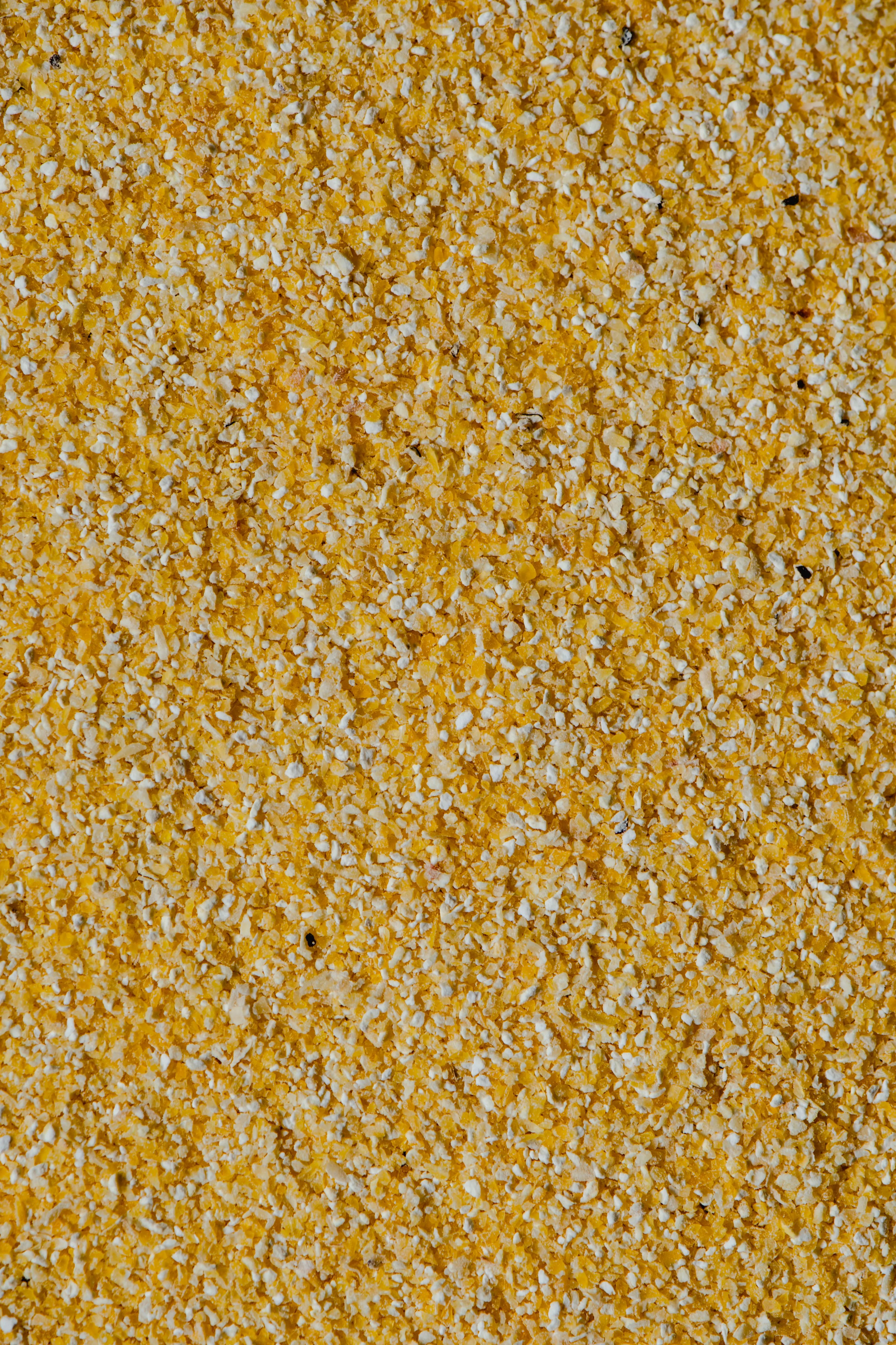 Corn masa