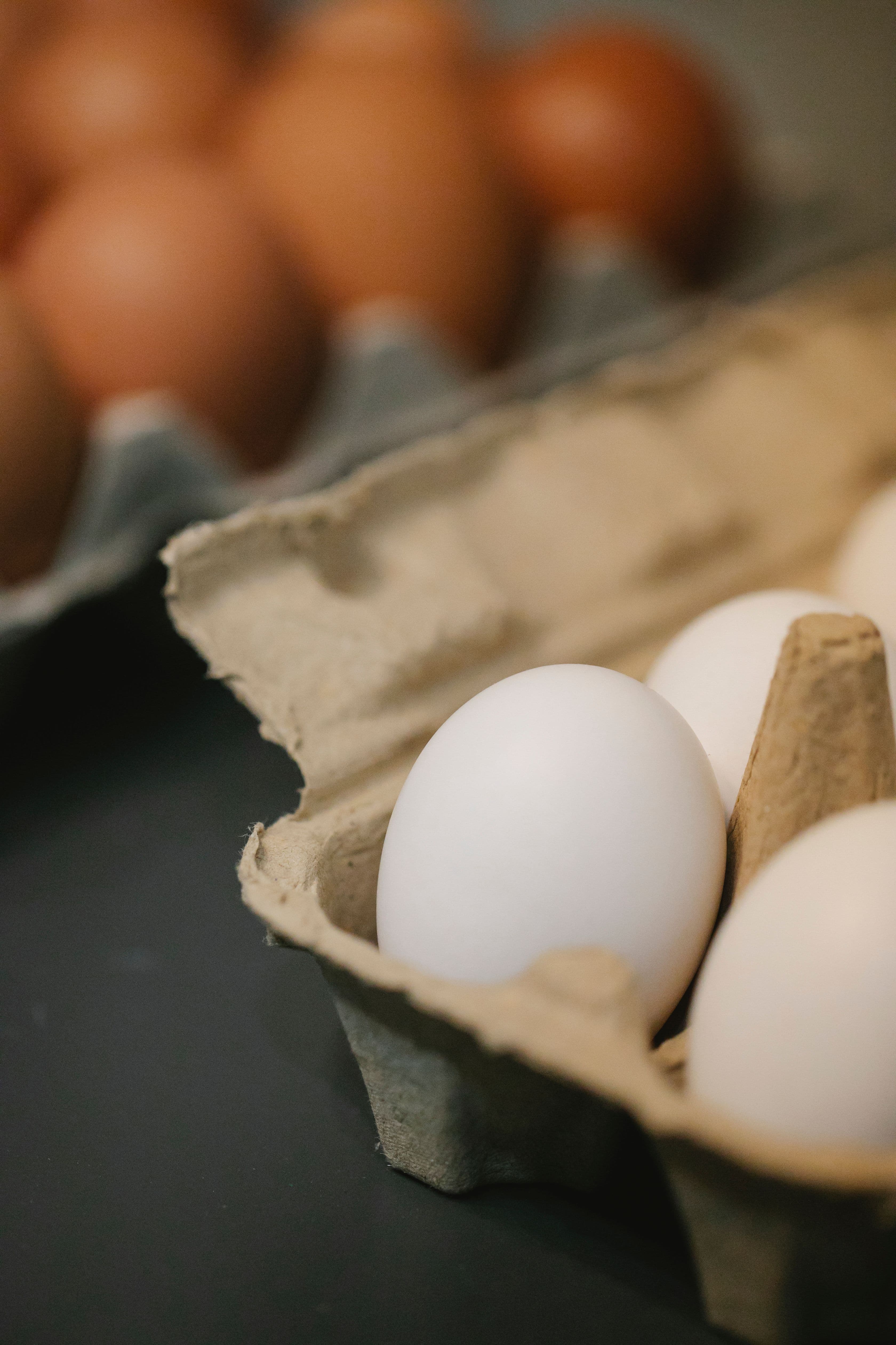 Egg