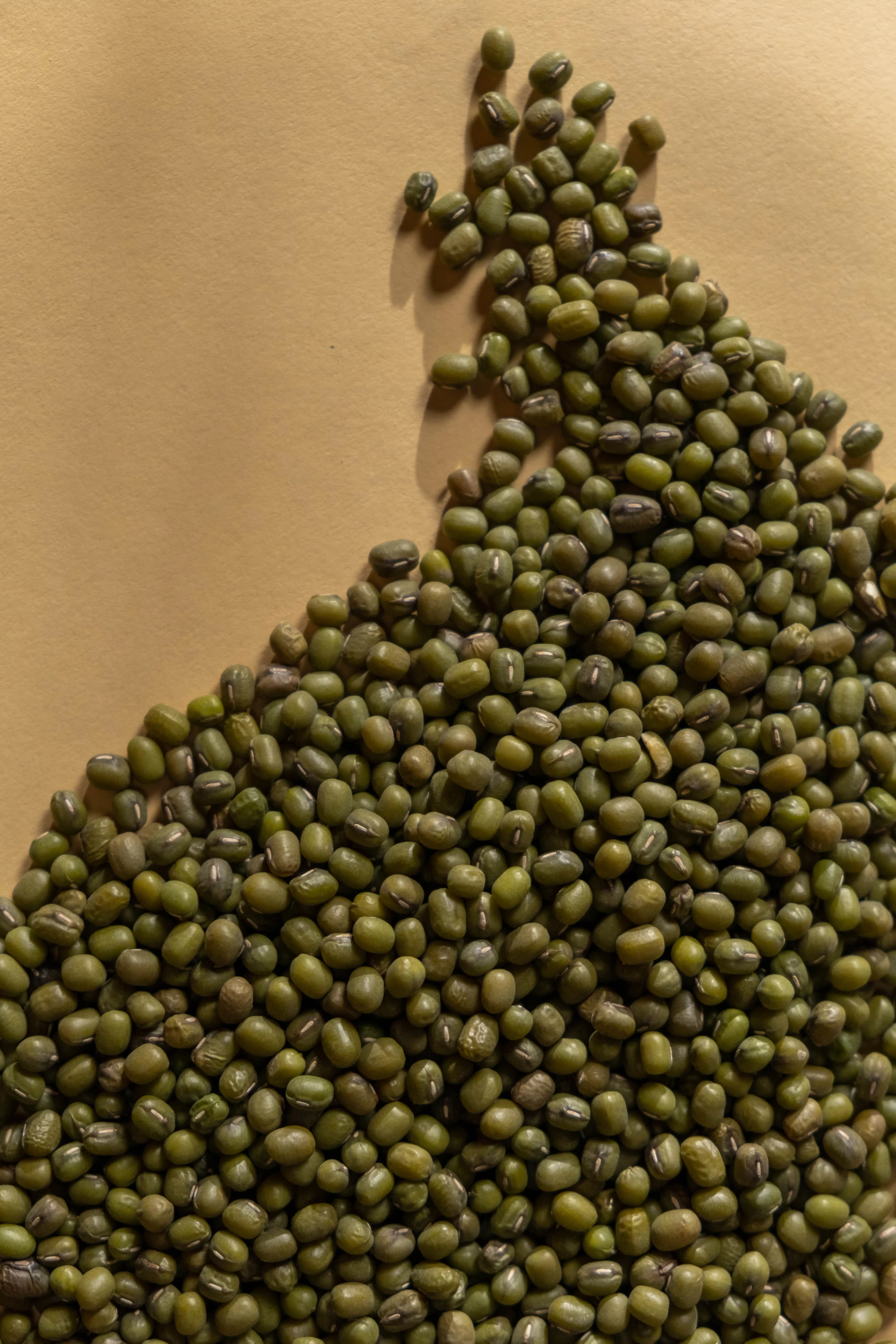 Urad dal