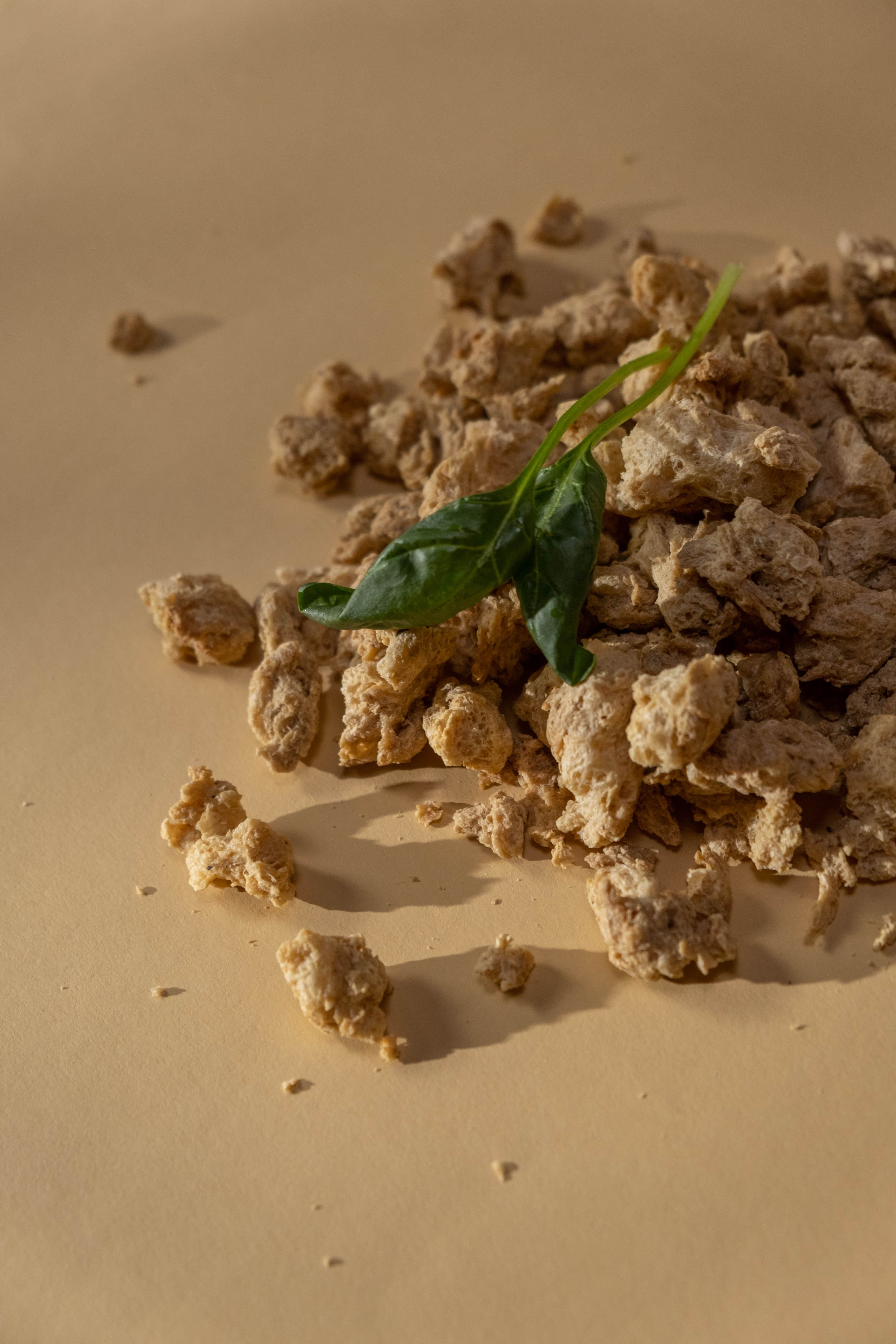 Mycoprotein (Quorn)