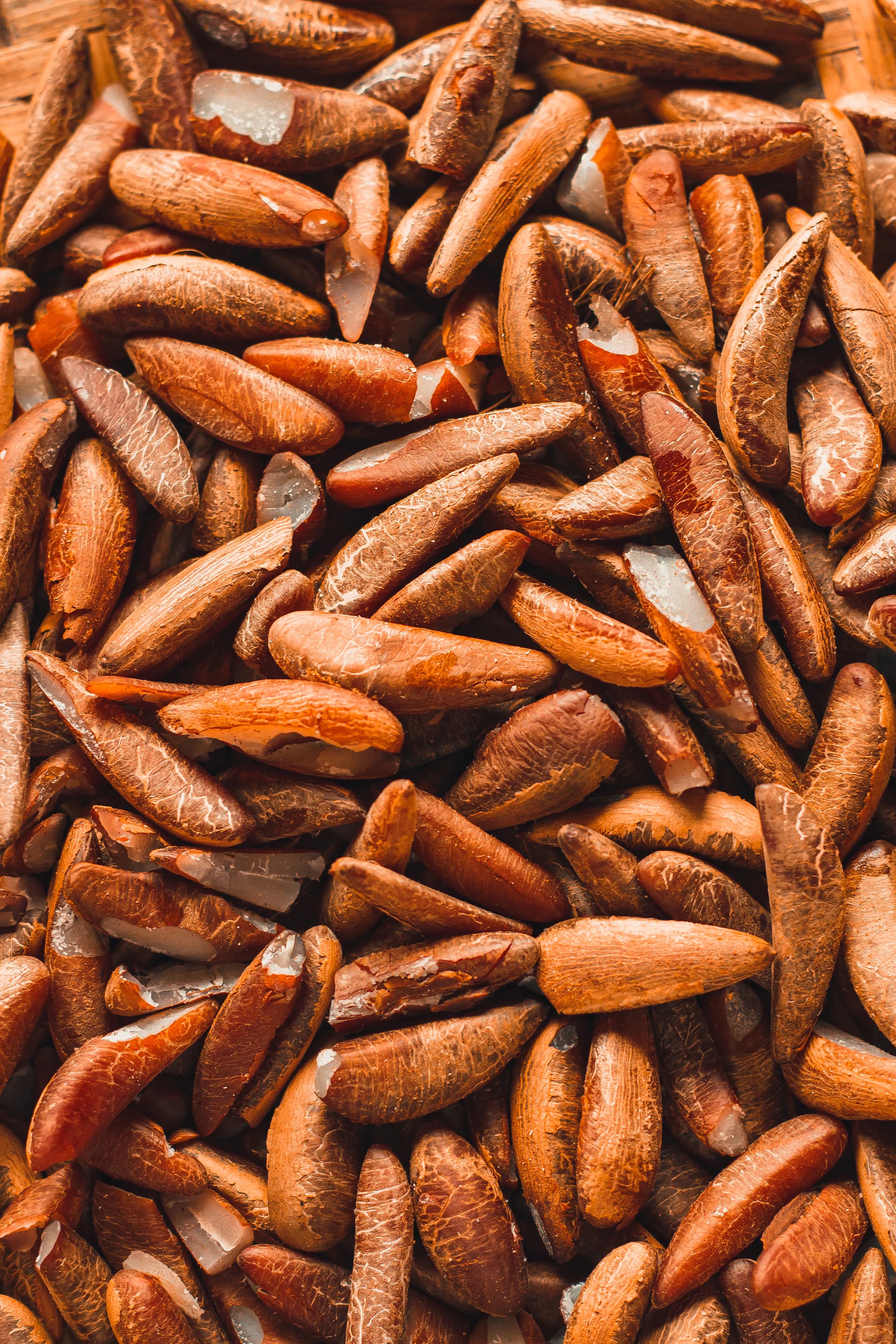 Brazil nuts