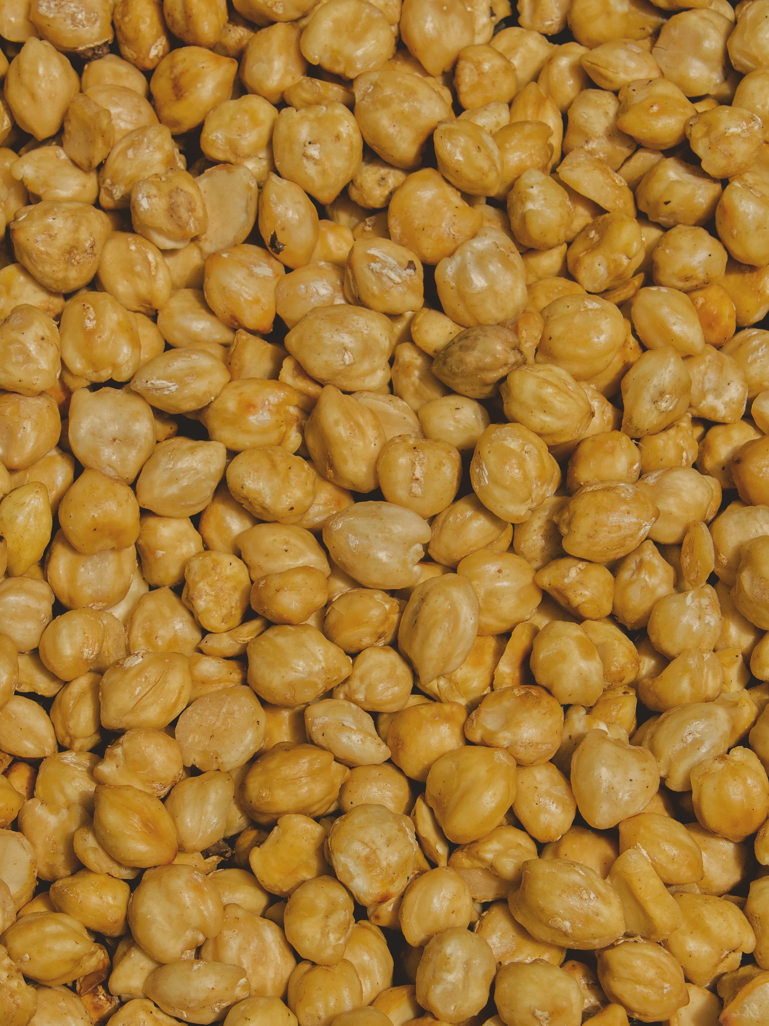 Candlenuts