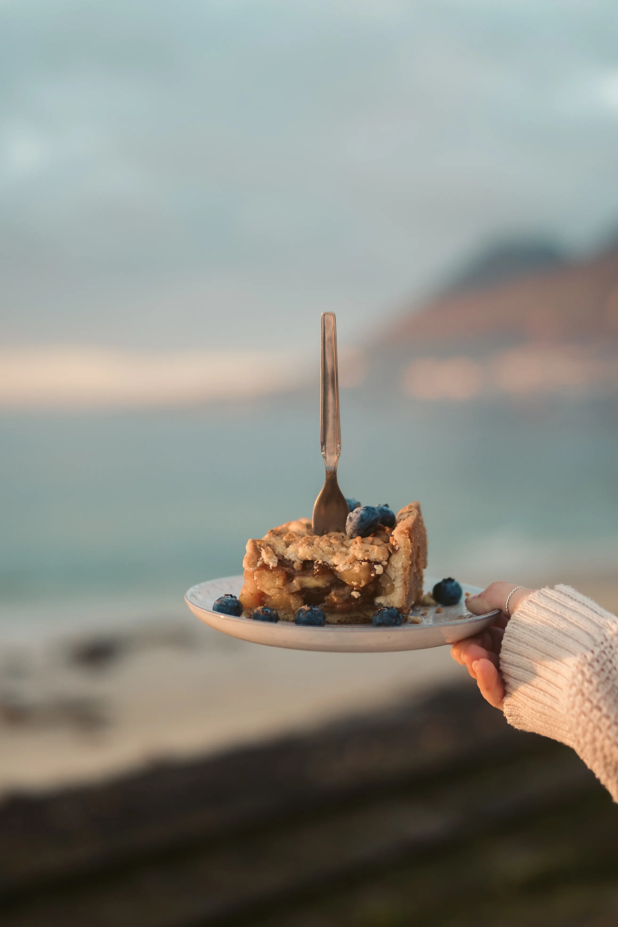Shoofly Pie