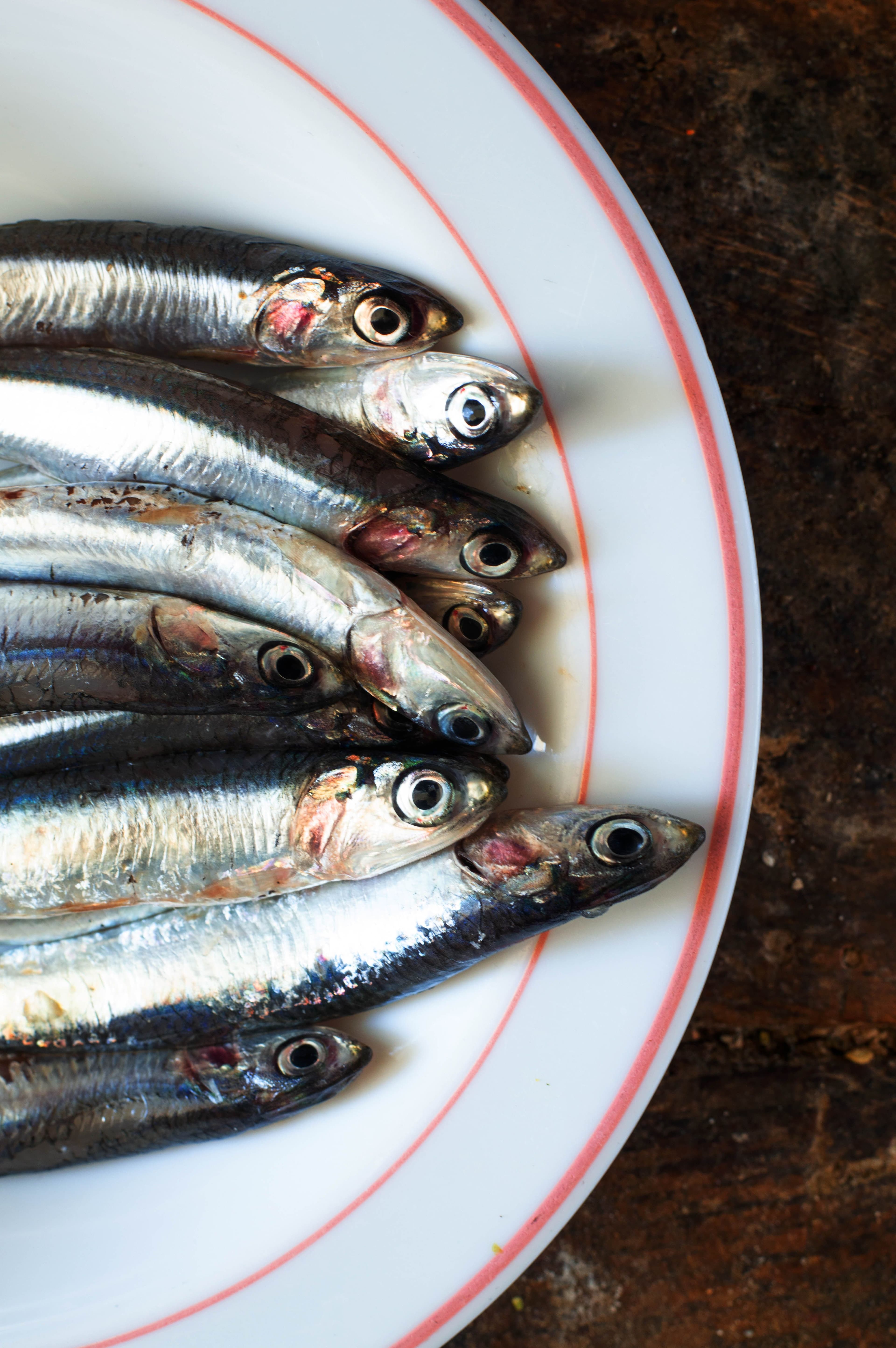 Anchovies