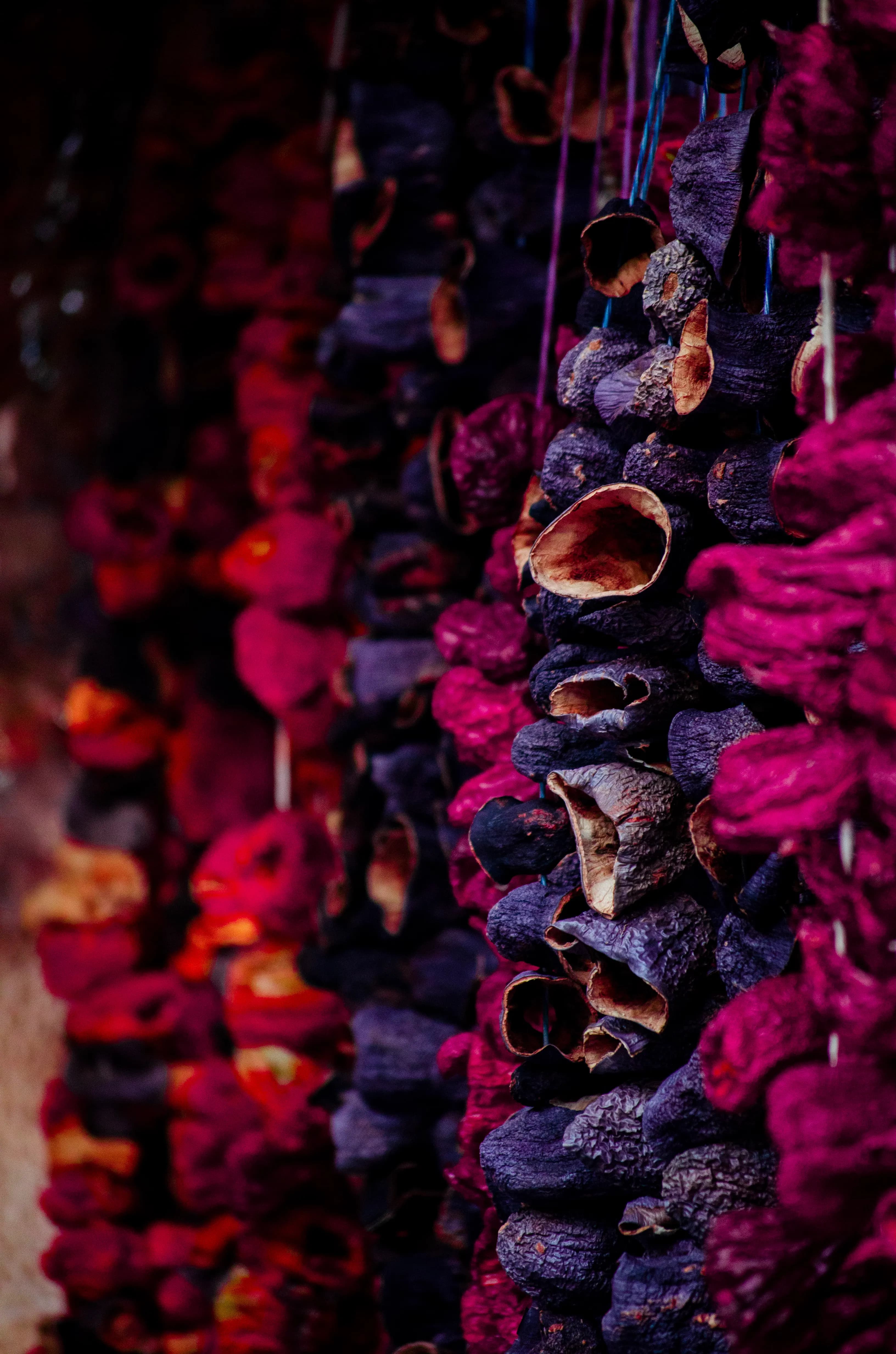 Kokum