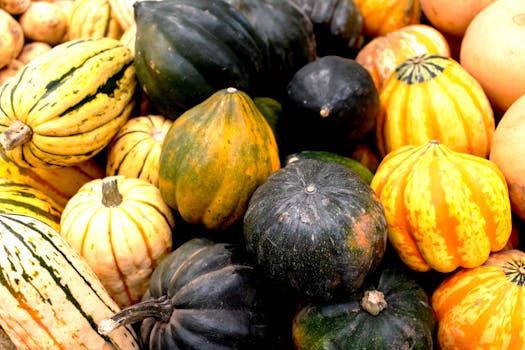 Acorn squash