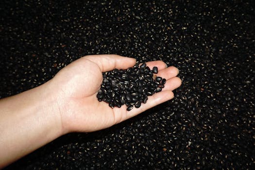 Black beans