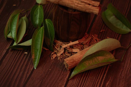 Cinnamon