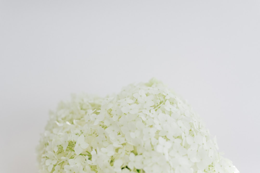 Coconut flakes (unsweetened)
