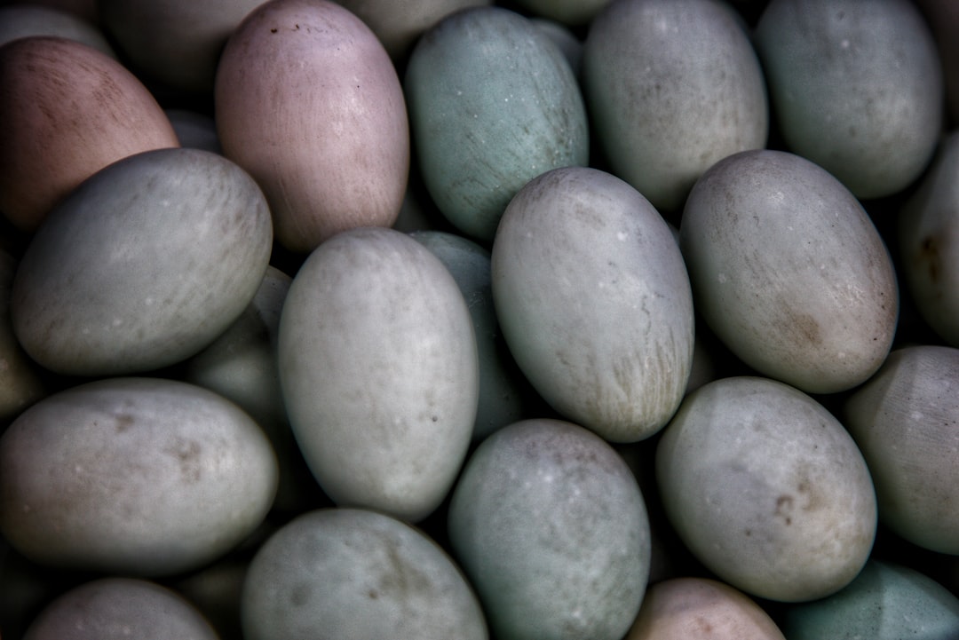 Duck egg