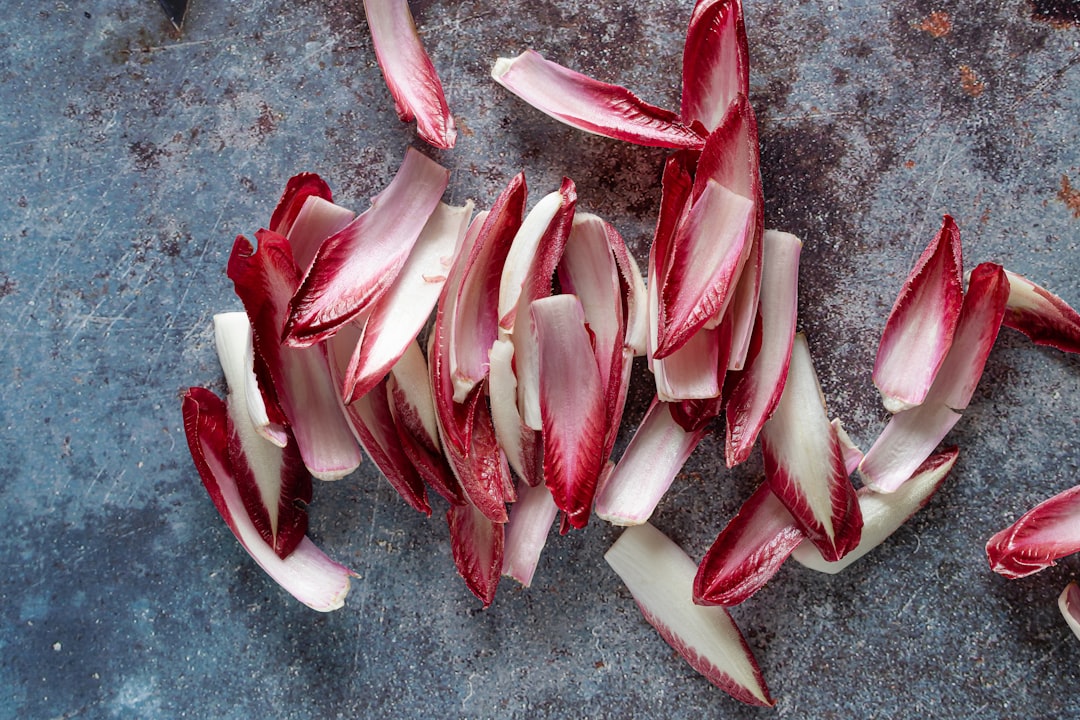 Endive