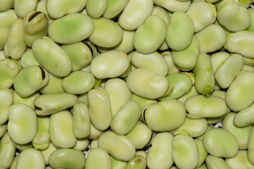 Fava beans