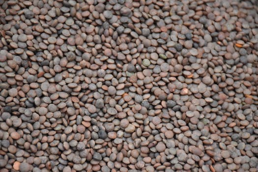 French lentils (Puy)