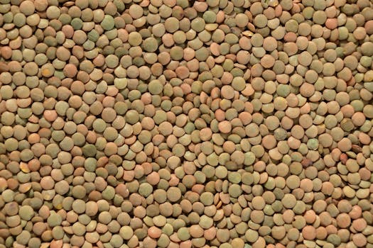 Green lentils