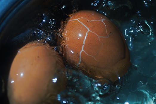 Hard boiled egg