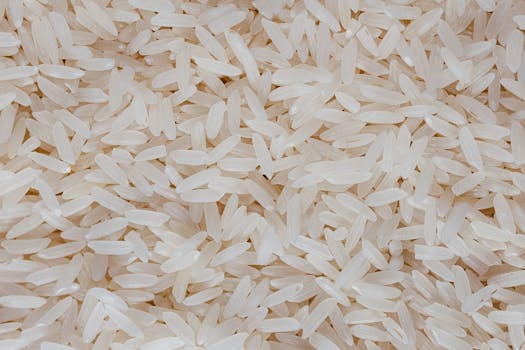 Jasmine rice