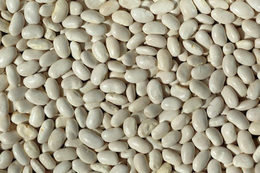 Navy beans