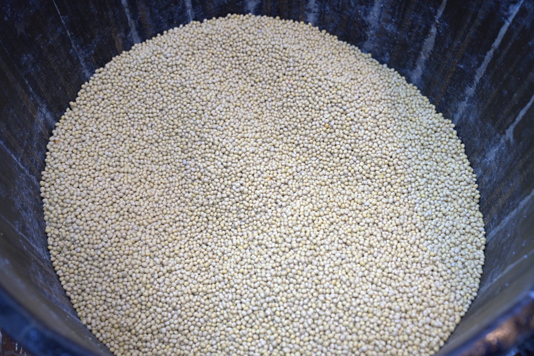 Pearl couscous