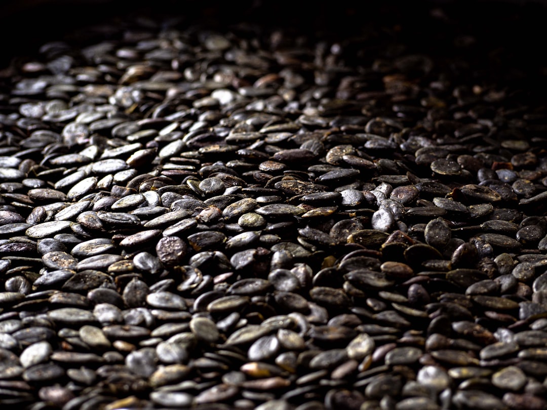 Pepitas (pumpkin seed kernels)