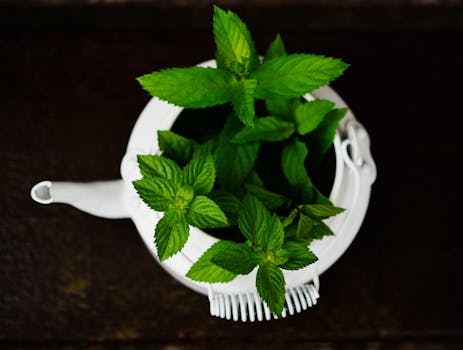 Peppermint tea