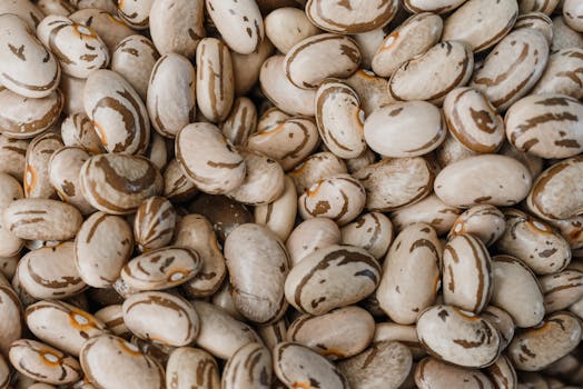 Pinto beans