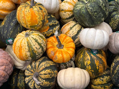 Pumpkin
