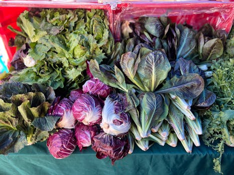 Radicchio