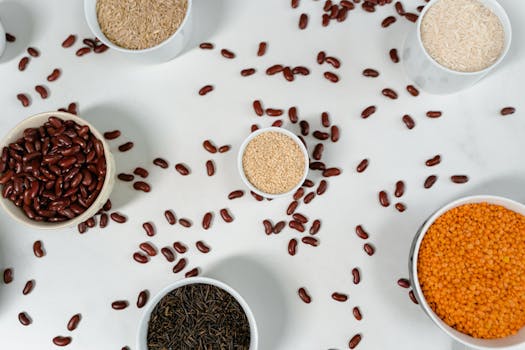 Rice protein powder