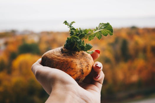 Rutabaga