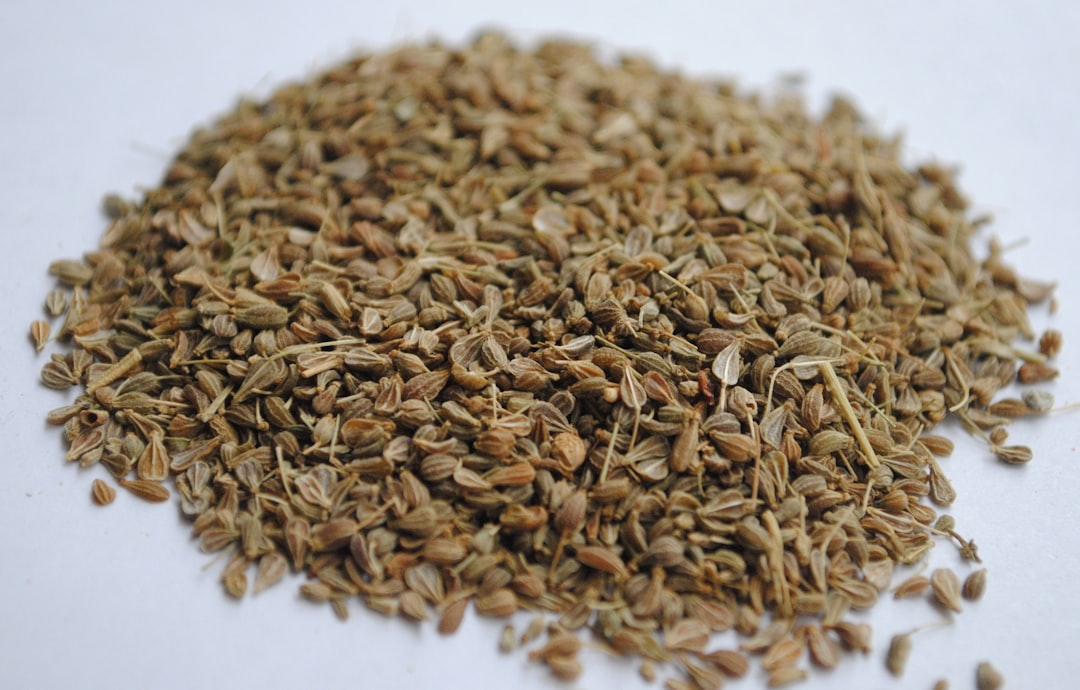 Sacha inchi seeds
