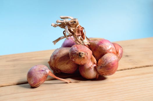 Shallot