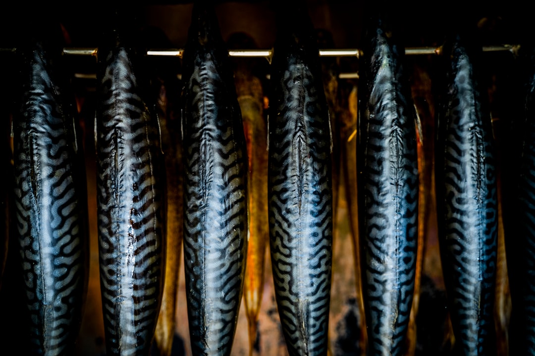 Smoked mackerel