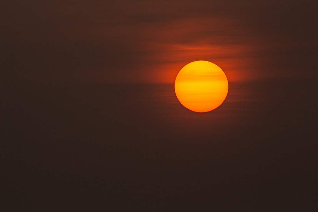 Sole