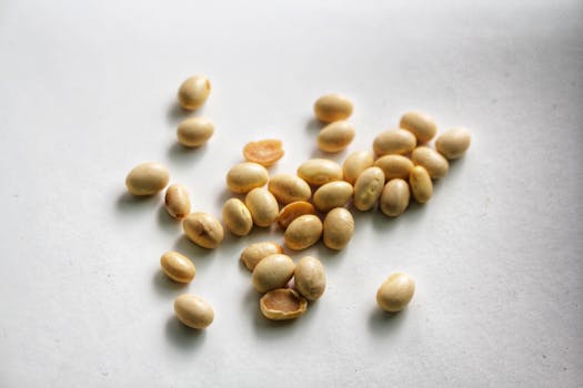 Soy protein isolate