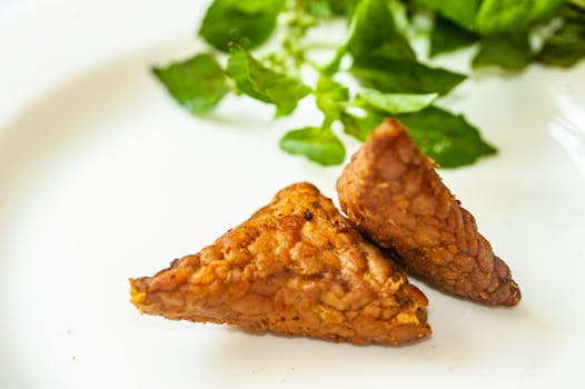 Tempeh