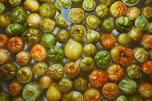 Tomatillo