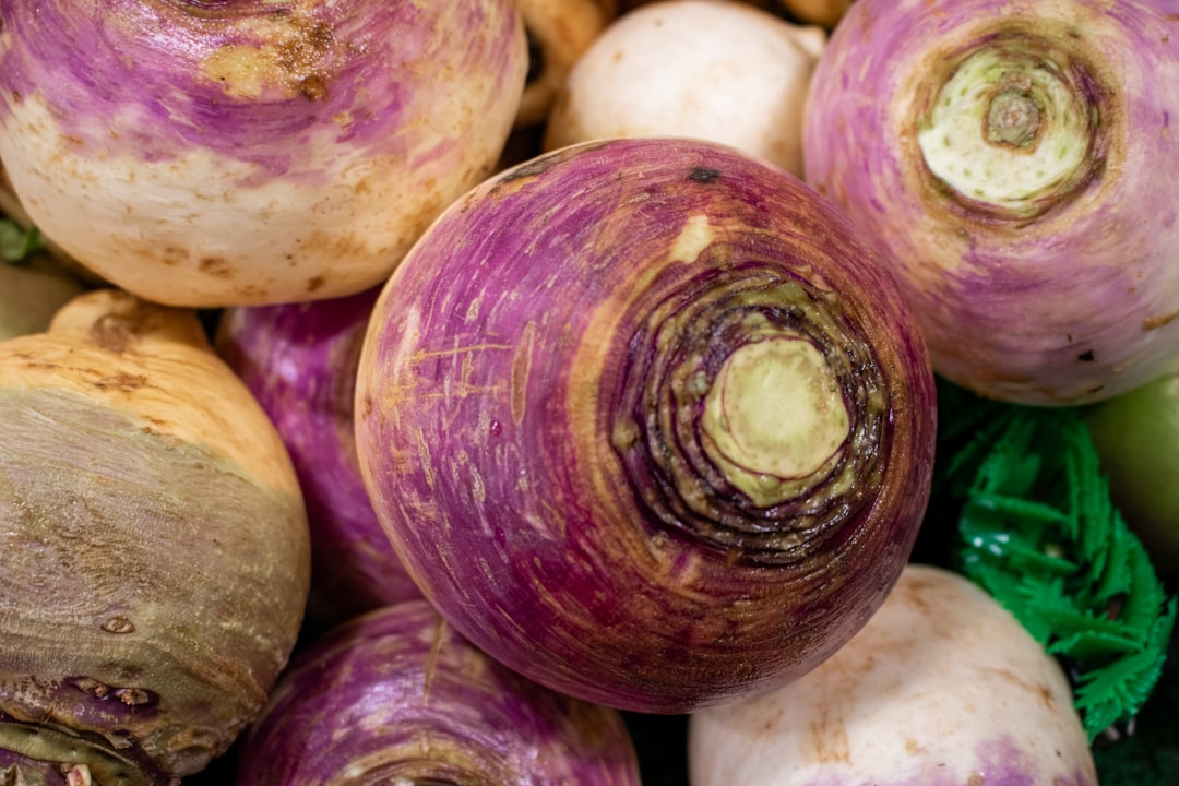Turnip