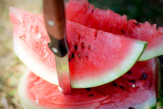 Watermelon seeds
