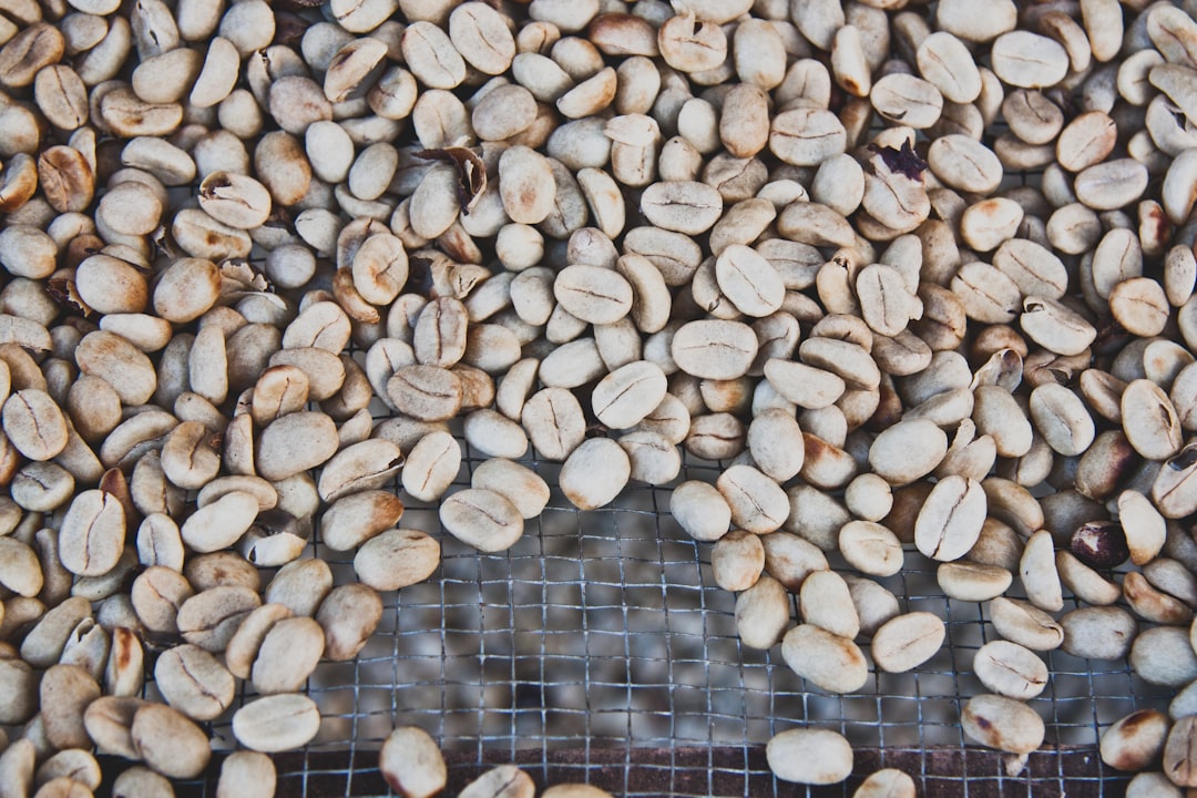 White beans
