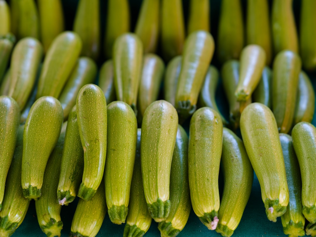Zucchini